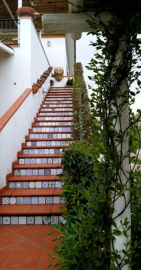 Circeea Beach B&B San Felice Circeo Ngoại thất bức ảnh